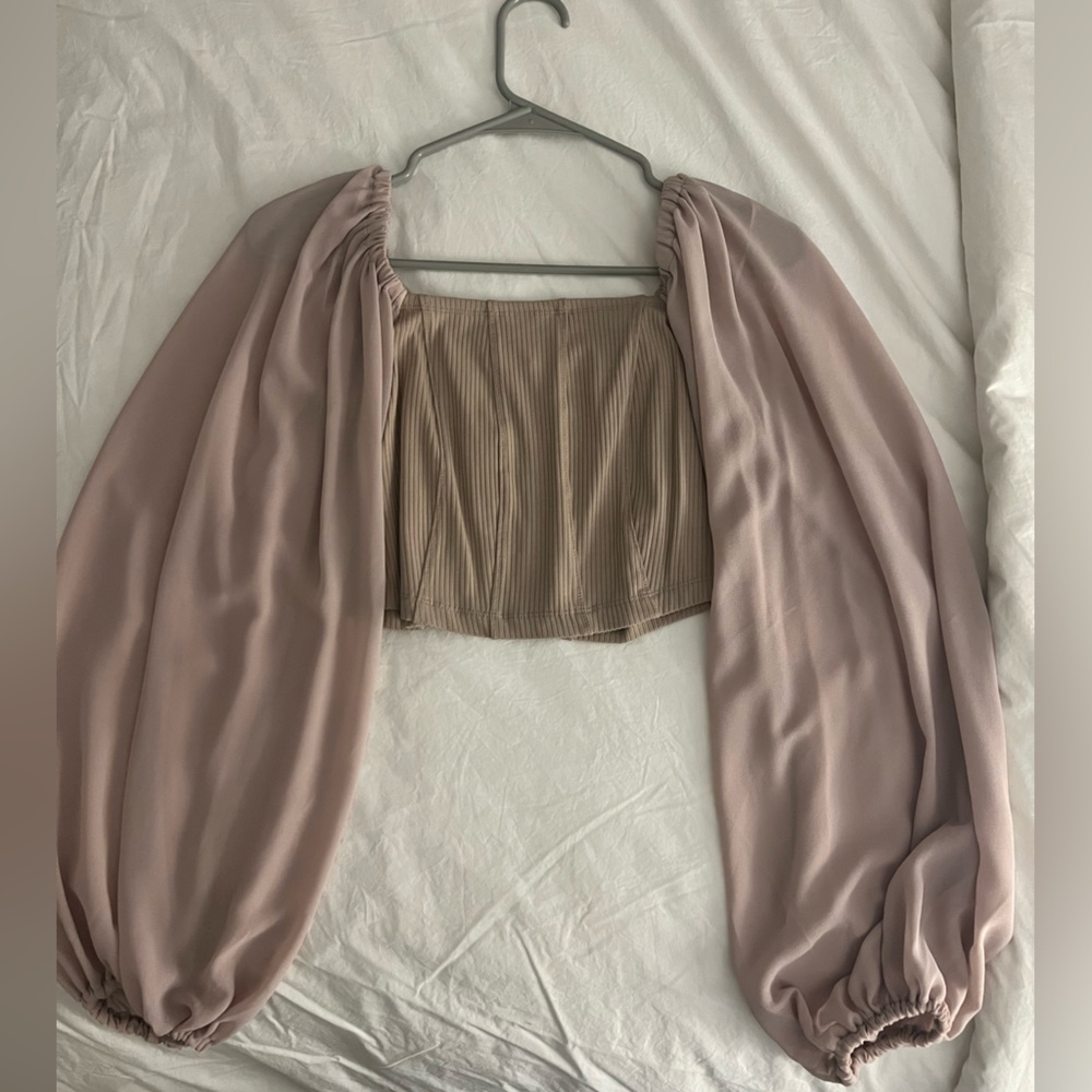 BeautifulChaos Puffy Sheer Sleeved Crop Top